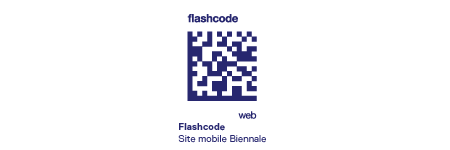 flashcode mobile